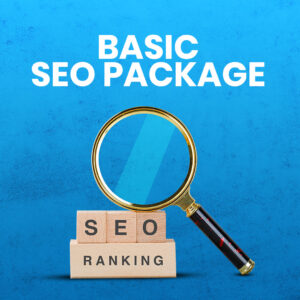 Basic SEO Package